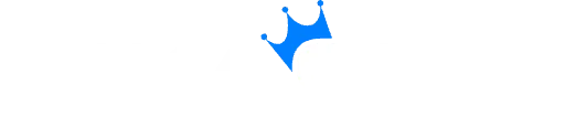 nikaspin logo